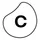 Celonis